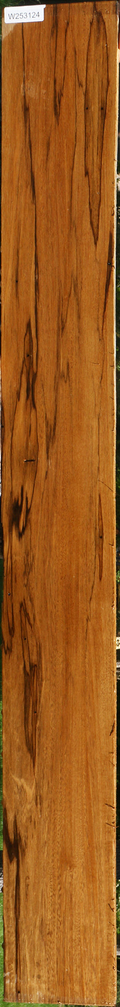 Branquilho Lumber