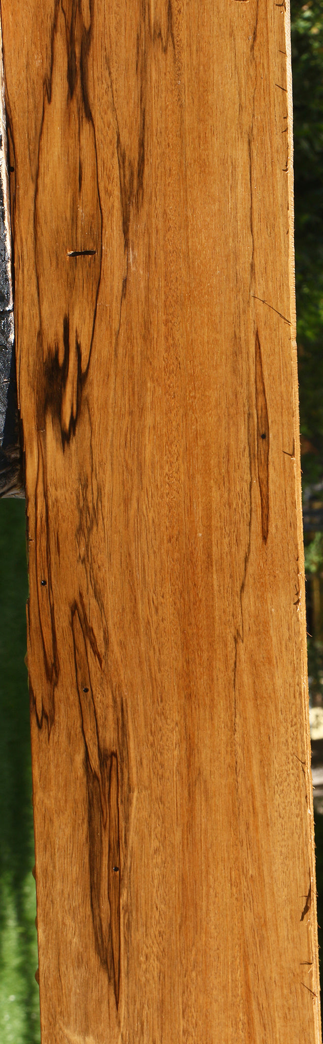Branquilho Lumber
