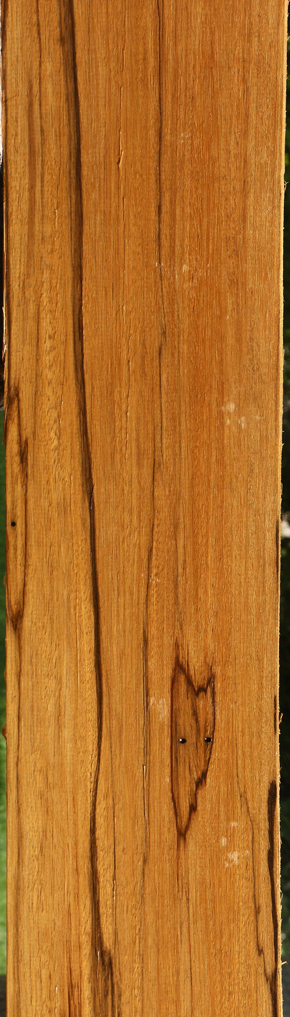 Branquilho Lumber