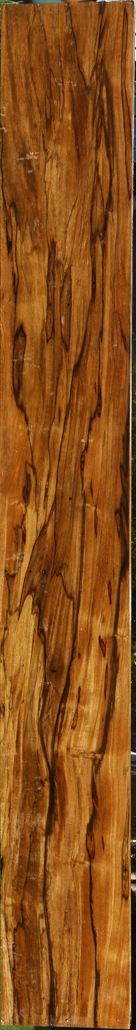 Extra Fancy Branquilho Lumber