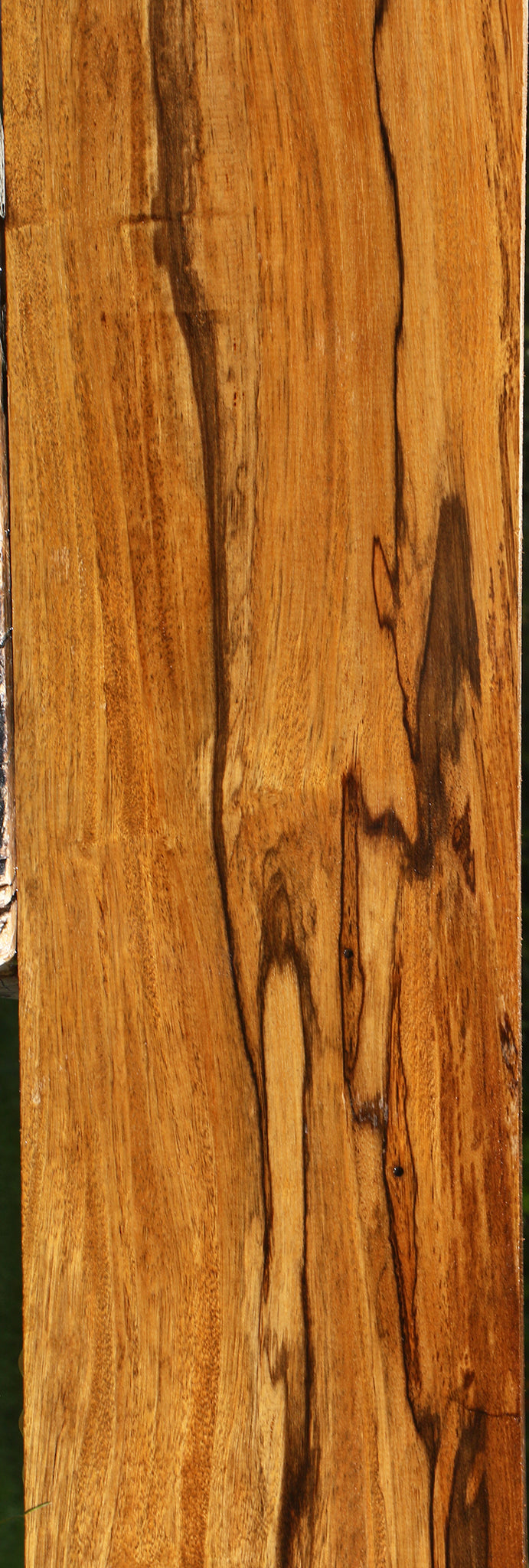 Extra Fancy Branquilho Lumber