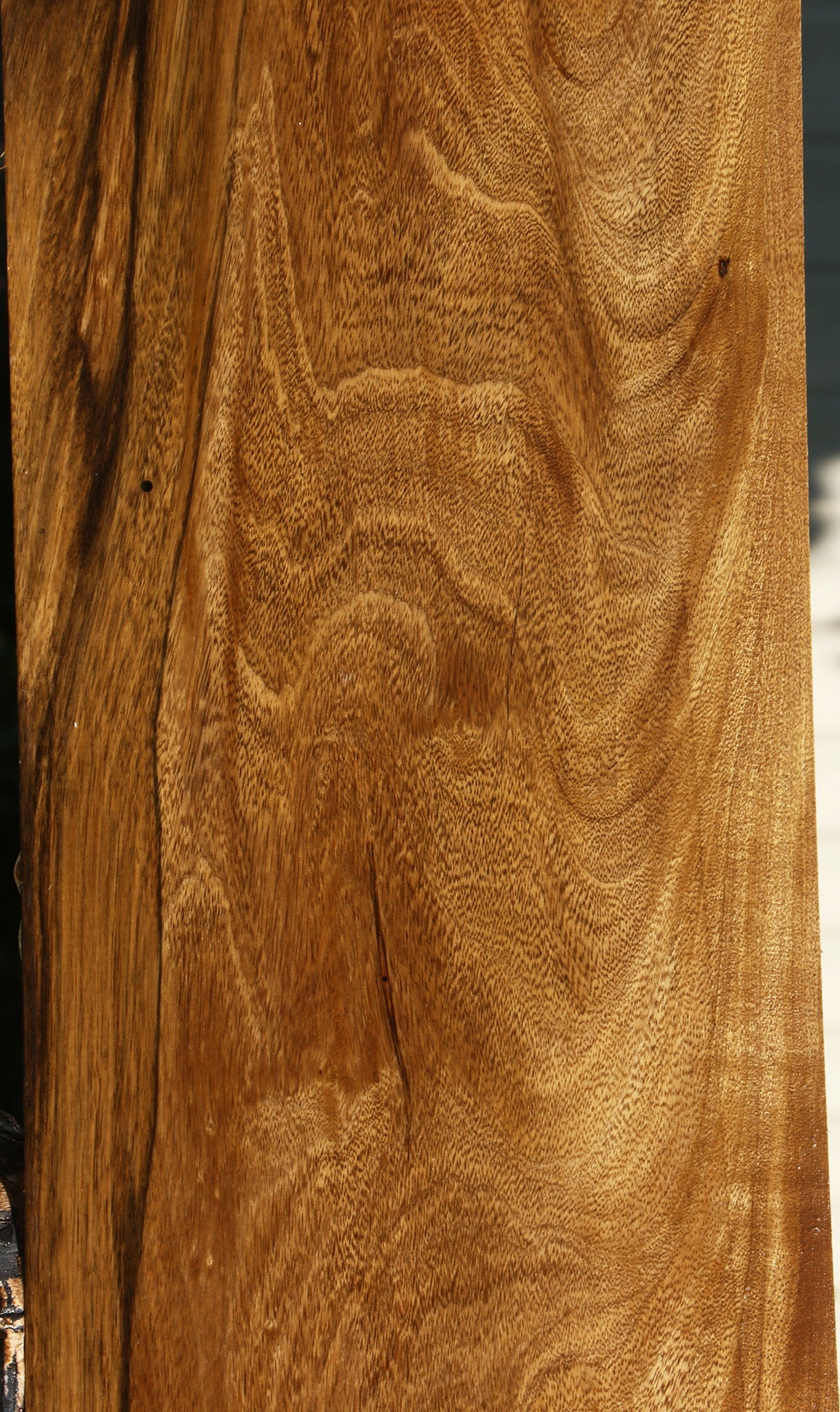 Figured Branquilho Lumber