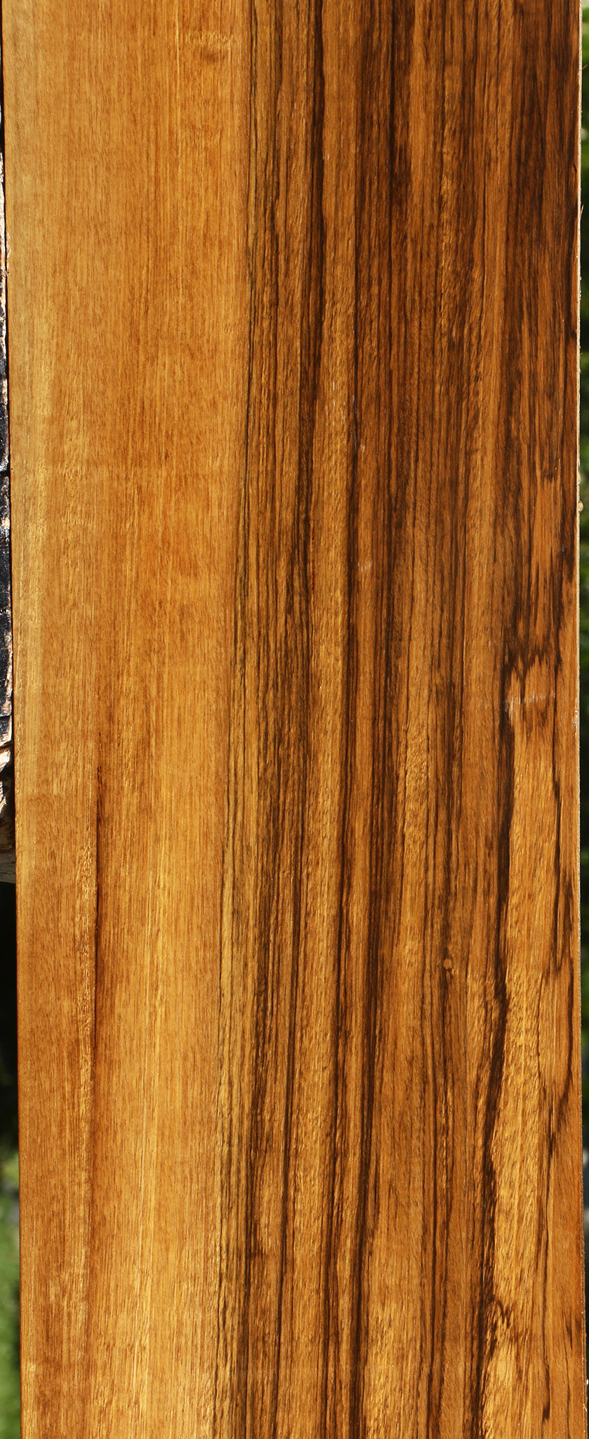 Figured Branquilho Lumber