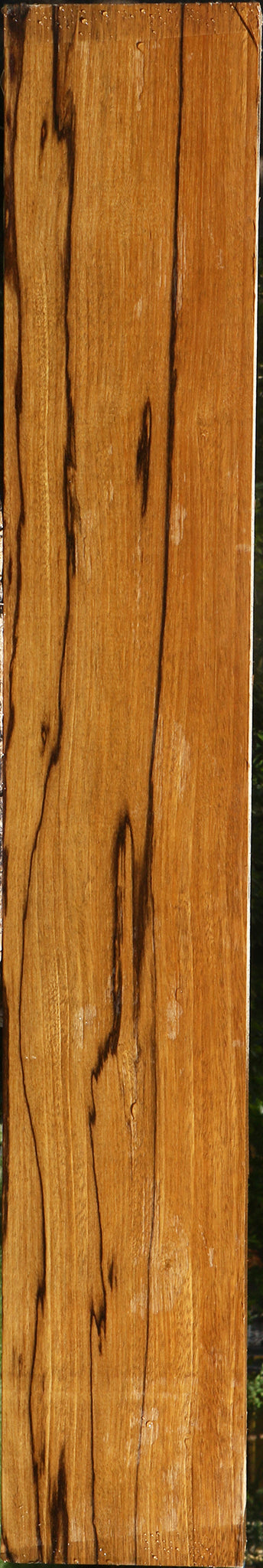 Branquilho Lumber