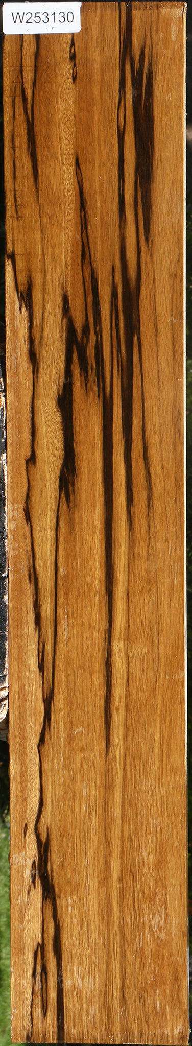 Branquilho Lumber