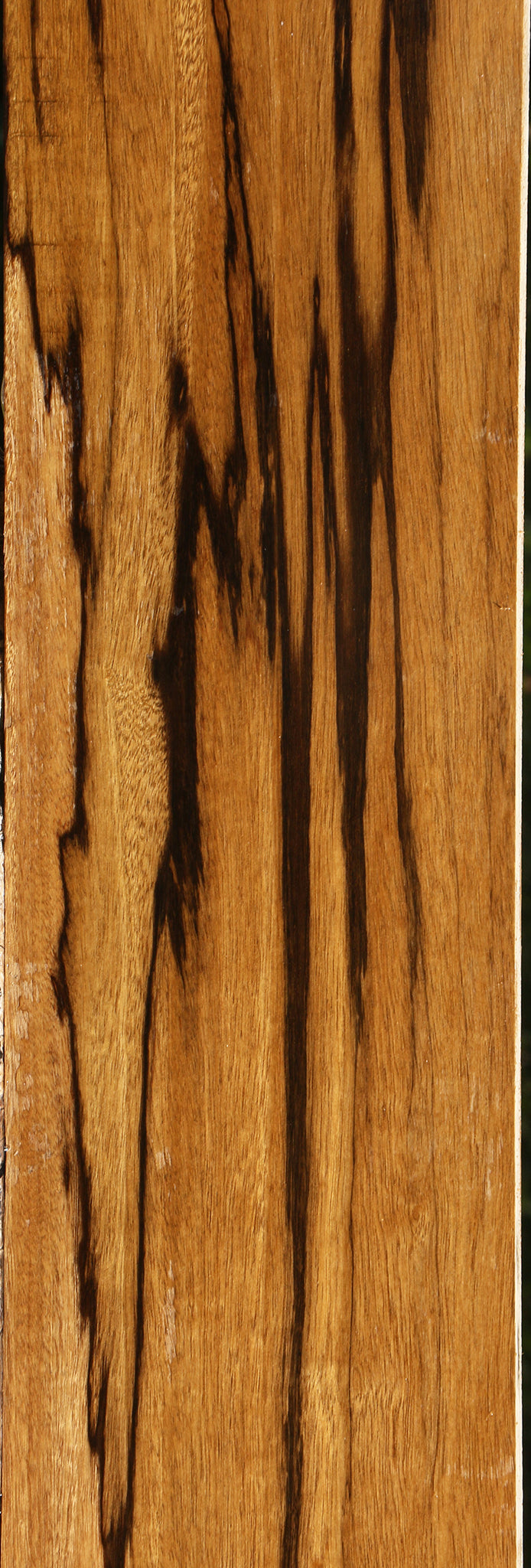 Branquilho Lumber