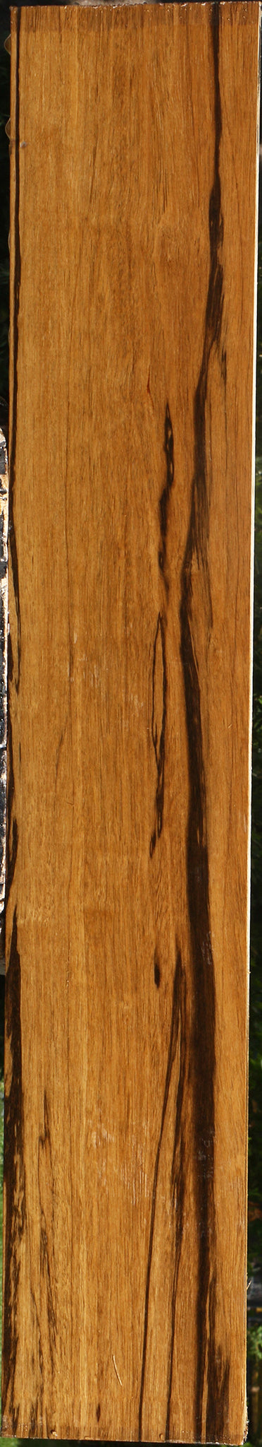 Branquilho Lumber