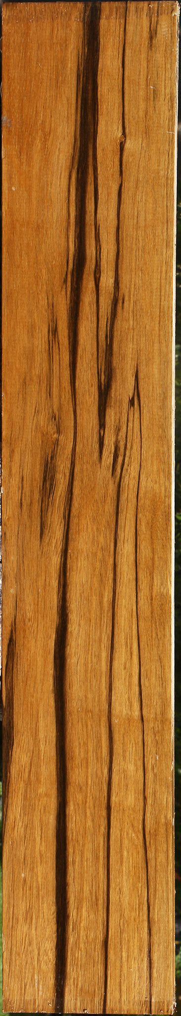 Branquilho Lumber