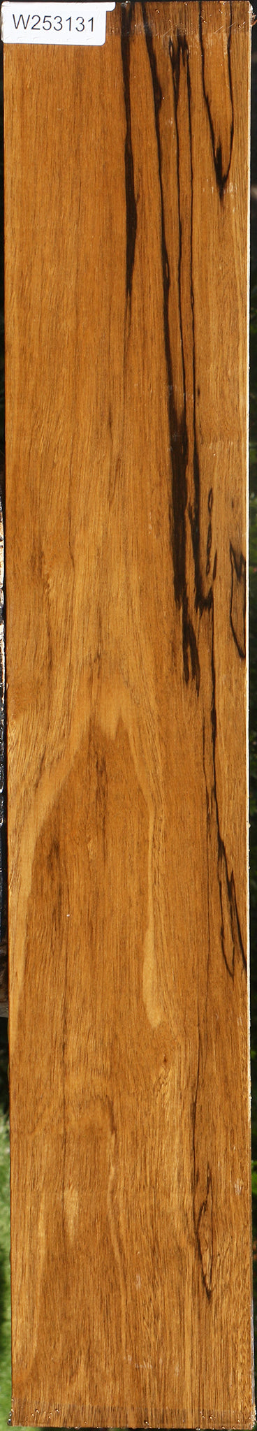Branquilho Lumber