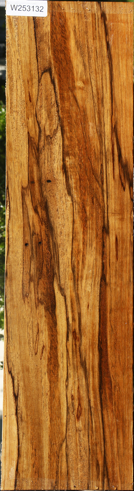 Extra Fancy Branquilho Lumber