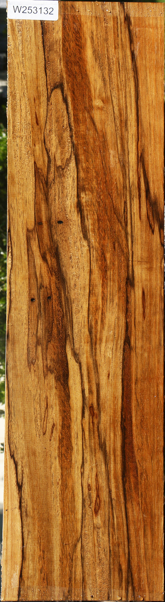 Extra Fancy Branquilho Lumber