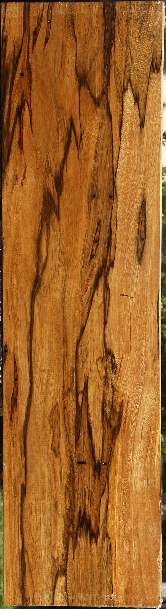 Extra Fancy Branquilho Lumber