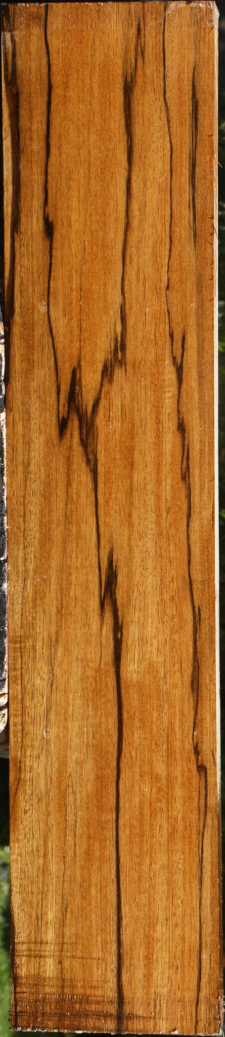 Branquilho Lumber