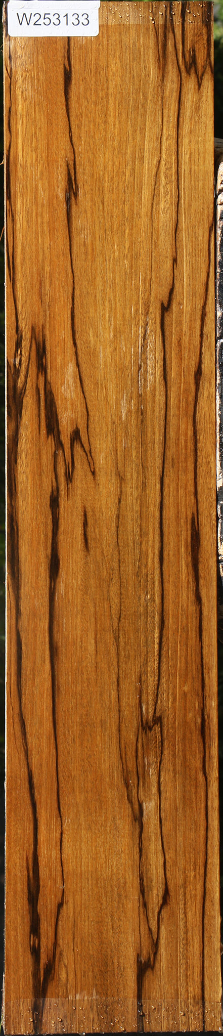 Branquilho Lumber