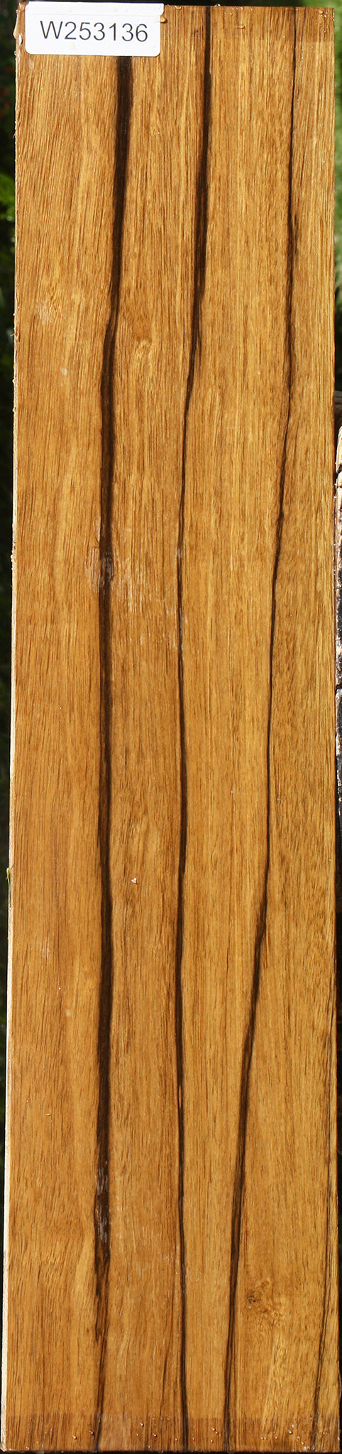 Branquilho Lumber