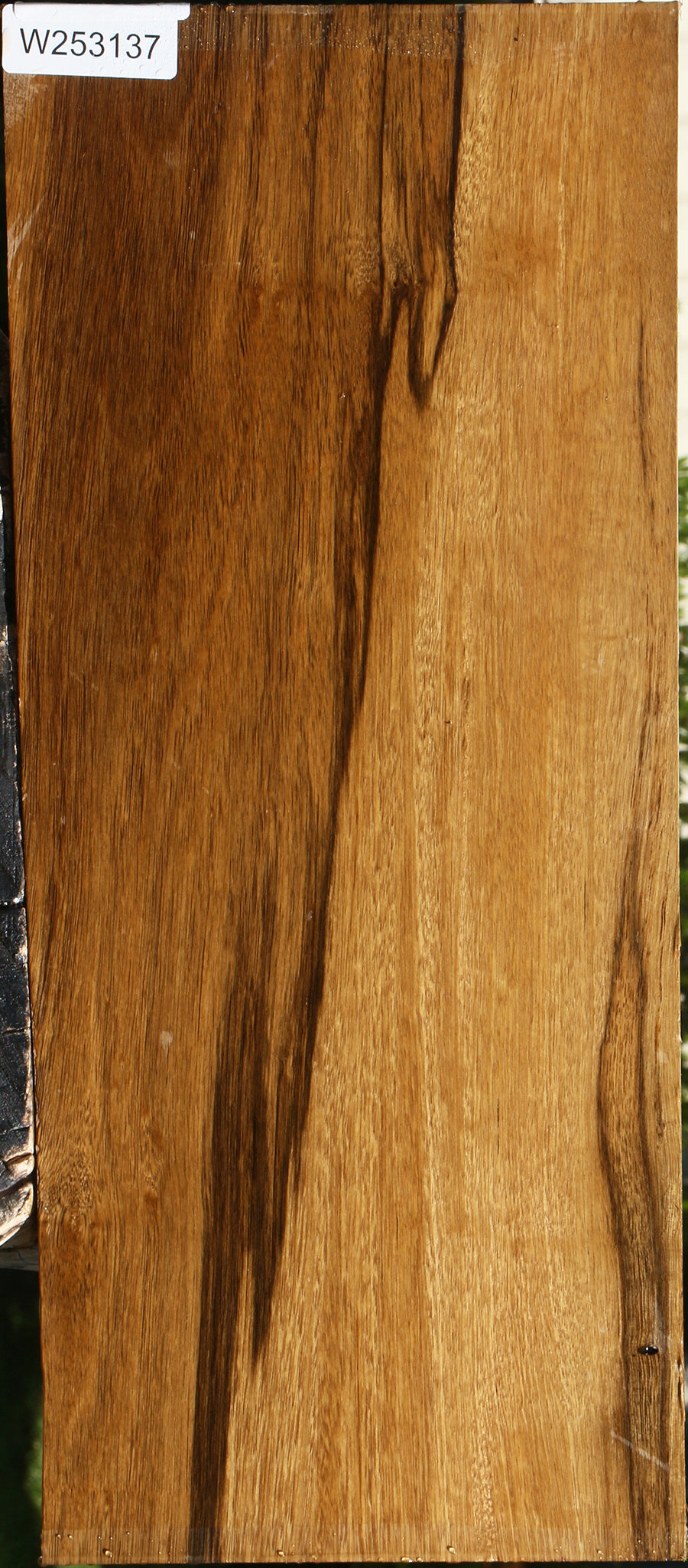 Branquilho Lumber