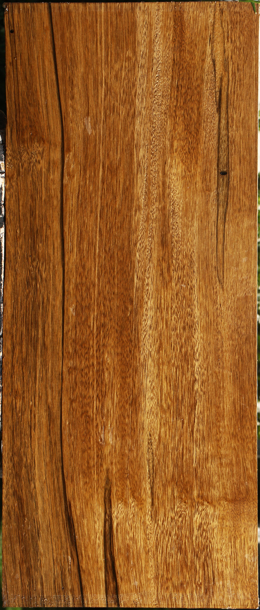 Branquilho Lumber