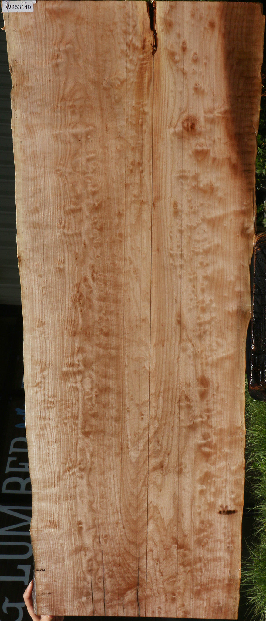 Maple Live Edge Slab (Free Shipping Excluded)