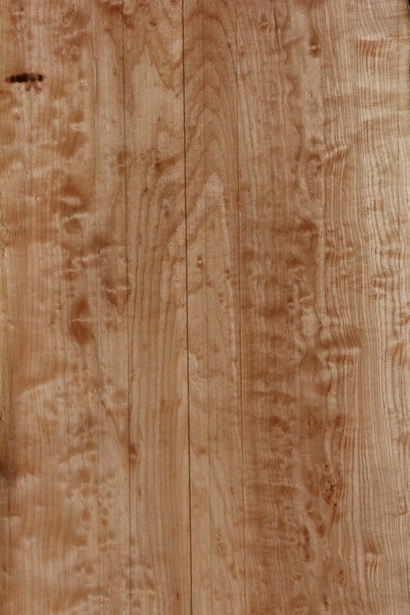 Maple Live Edge Slab (Free Shipping Excluded)