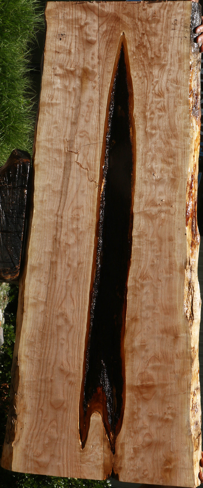 Maple Live Edge Slab (Free Shipping Excluded)