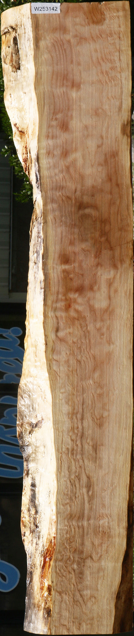 Extra Fancy Maple Live Edge Mantel