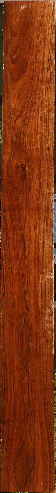 Tzalam Lumber