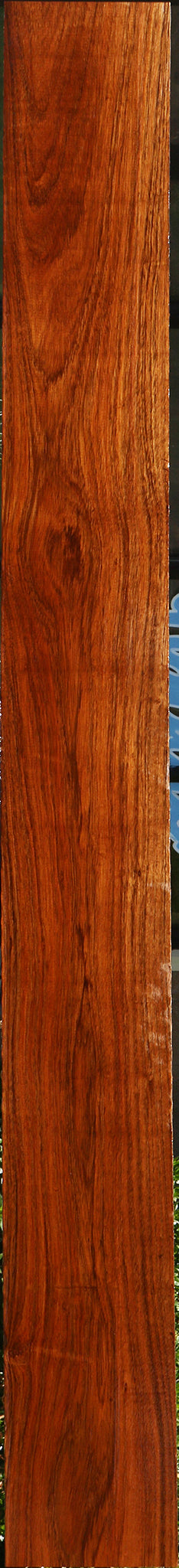 Tzalam Lumber