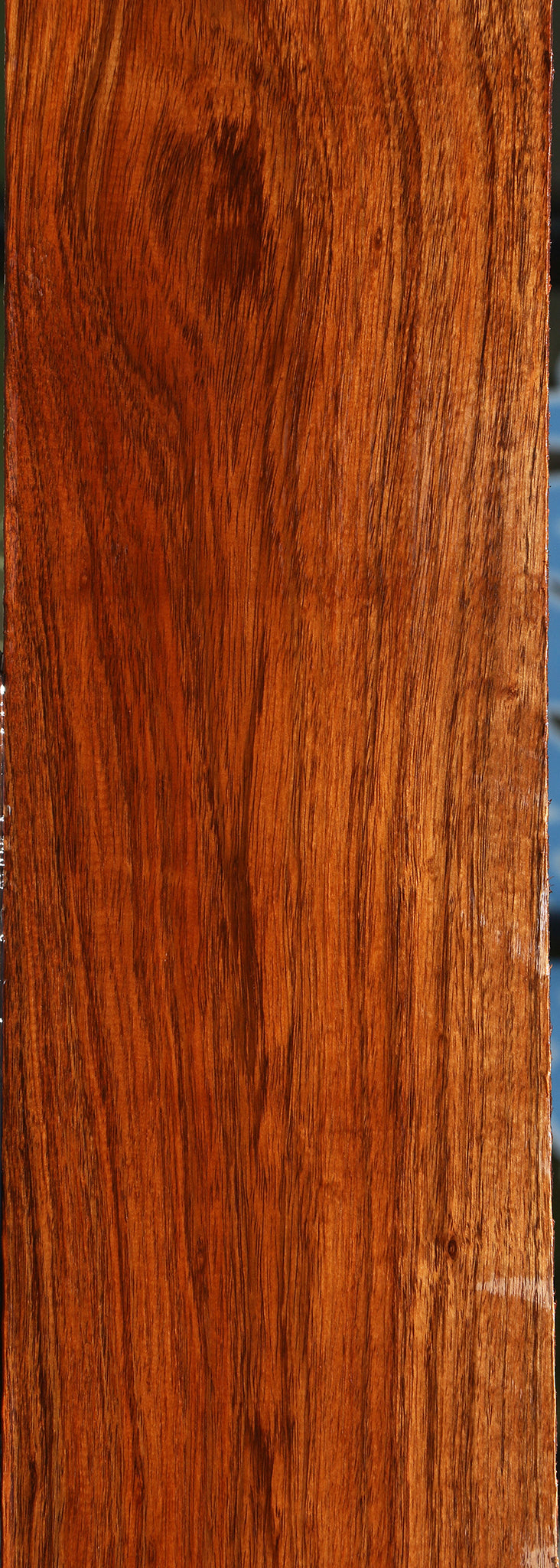 Tzalam Lumber