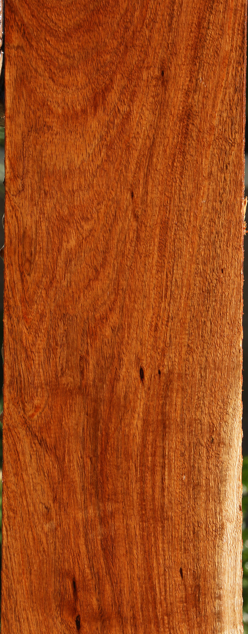Figured Tzalam Lumber