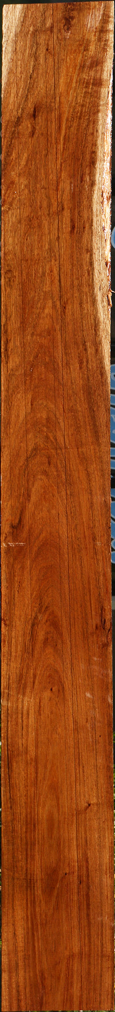Figured Tzalam Lumber