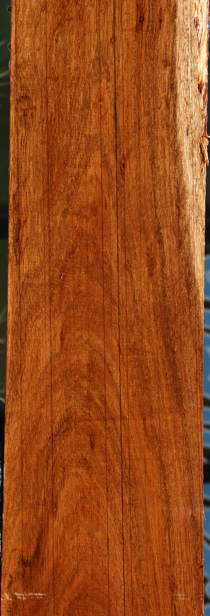 Figured Tzalam Lumber