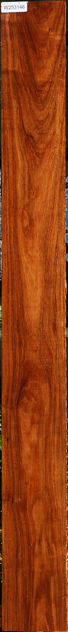 Tzalam Lumber