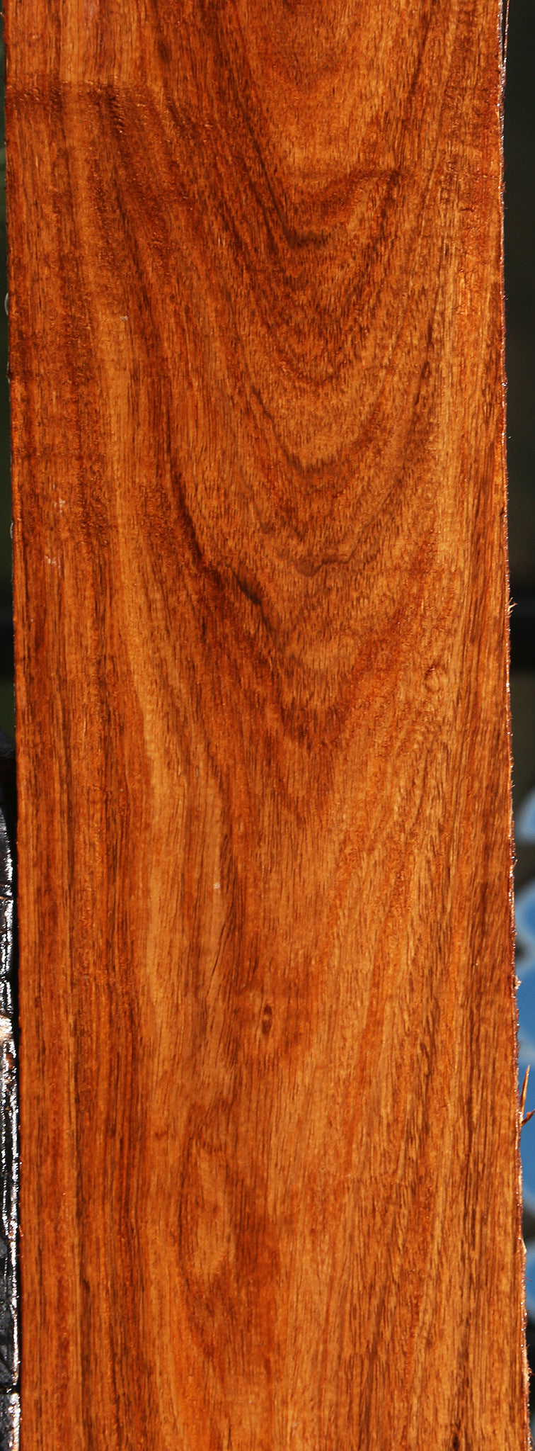Tzalam Lumber