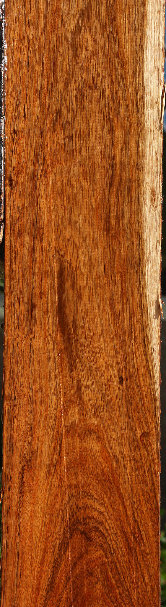 Tzalam Lumber