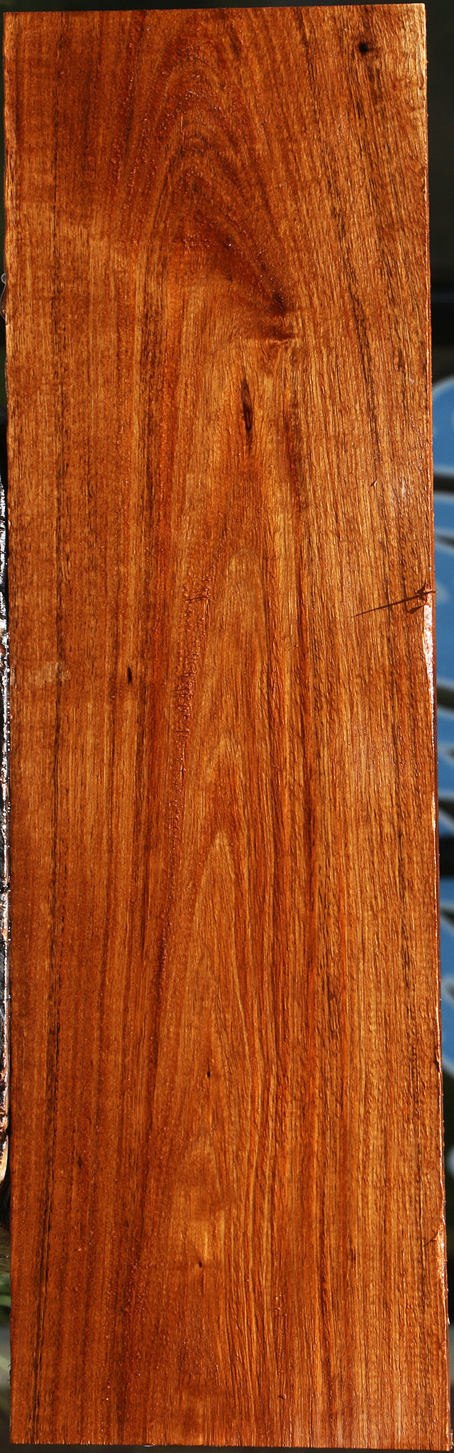 Figured Tzalam Lumber