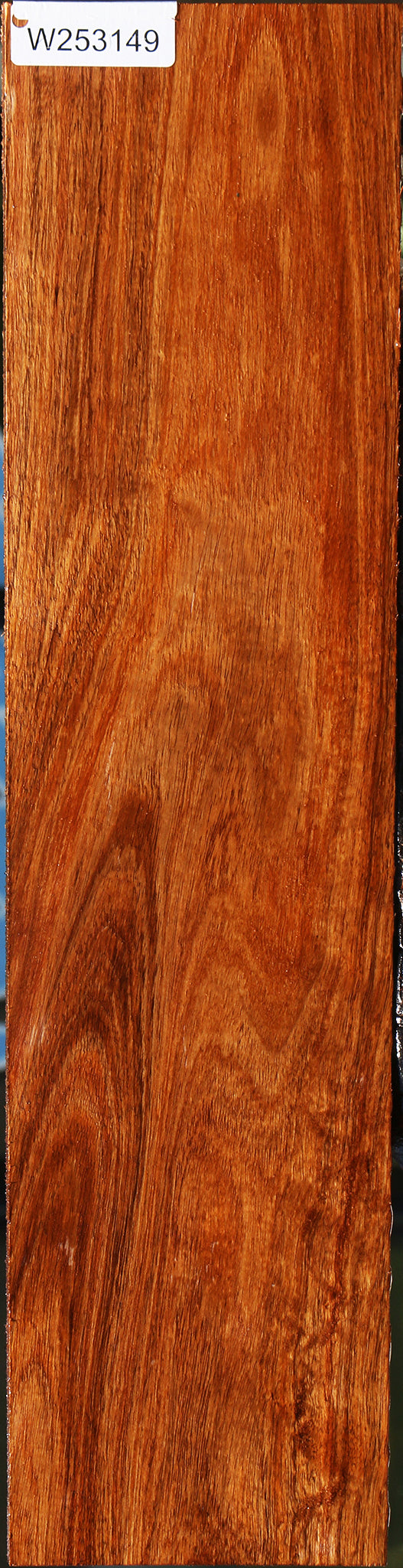 Figured Tzalam Lumber
