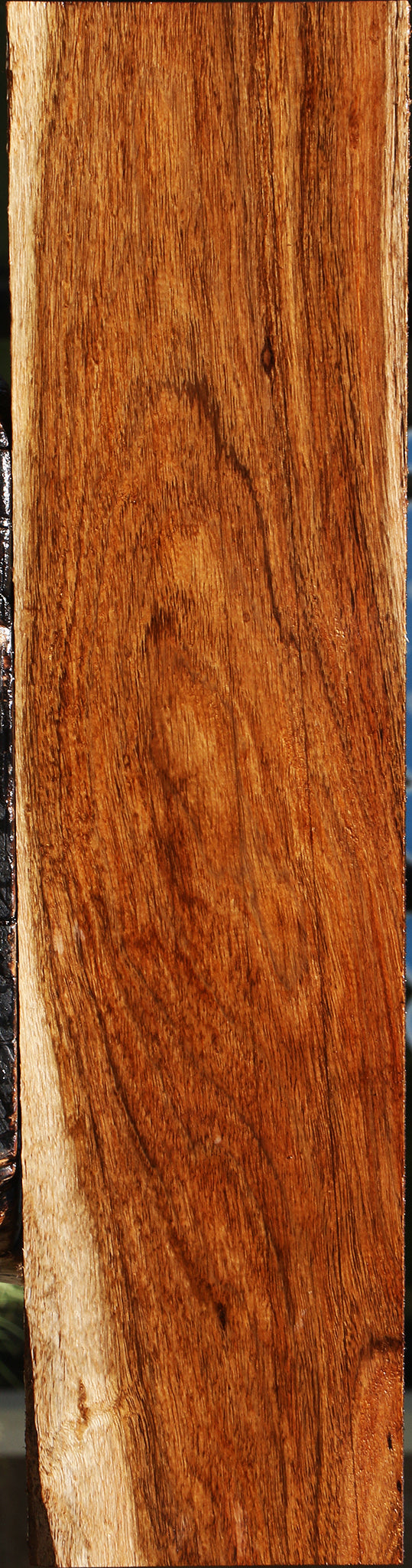 Figured Tzalam Lumber