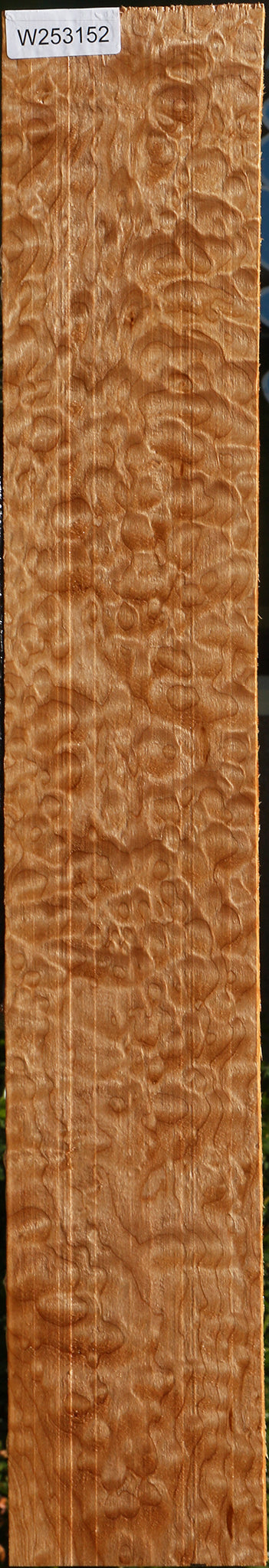 AAAAA Quilted Maple Lumber