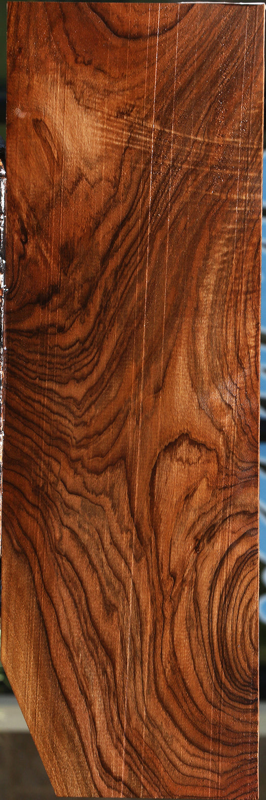 Extra Fancy English Walnut Electric Guitar Drop Top Billet