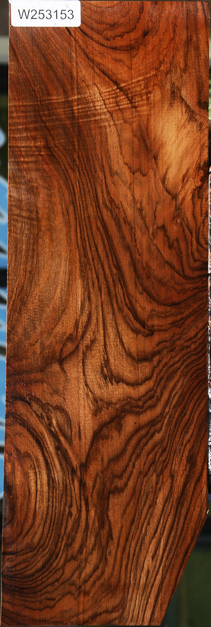 Extra Fancy English Walnut Electric Guitar Drop Top Billet