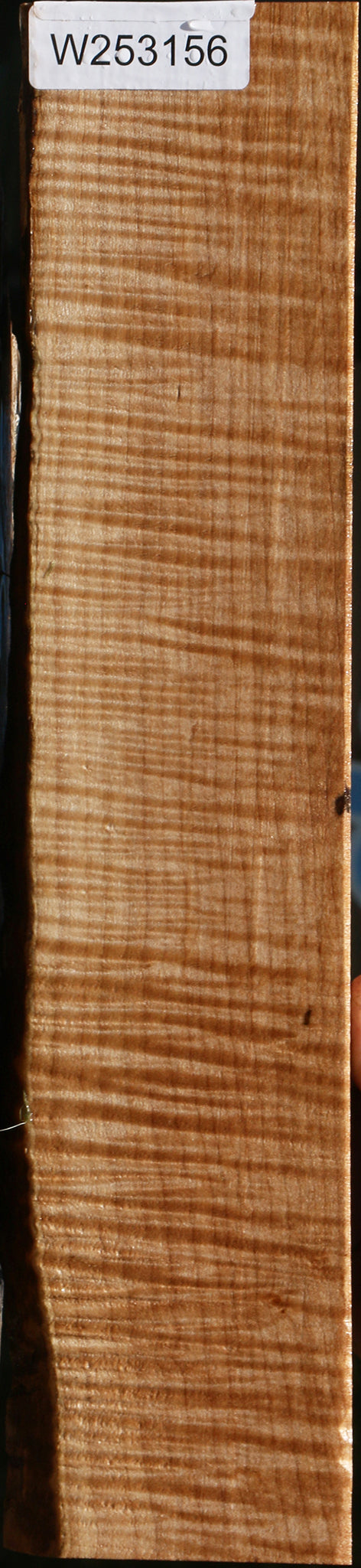 Extra Fancy Maple Live Edge Lumber