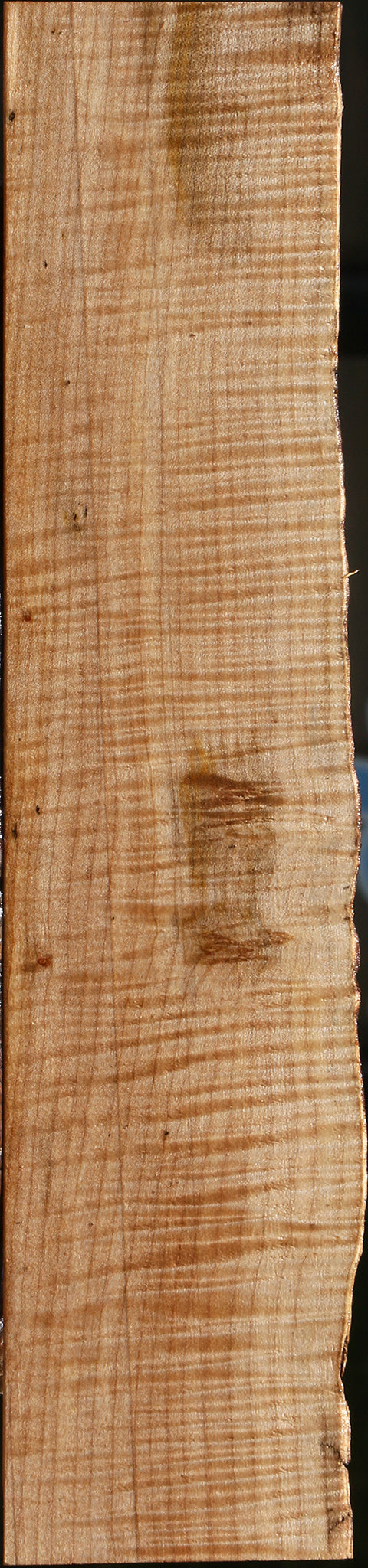 Extra Fancy Maple Live Edge Lumber