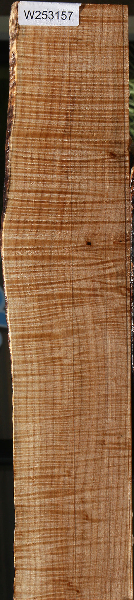 Extra Fancy Maple Live Edge Lumber