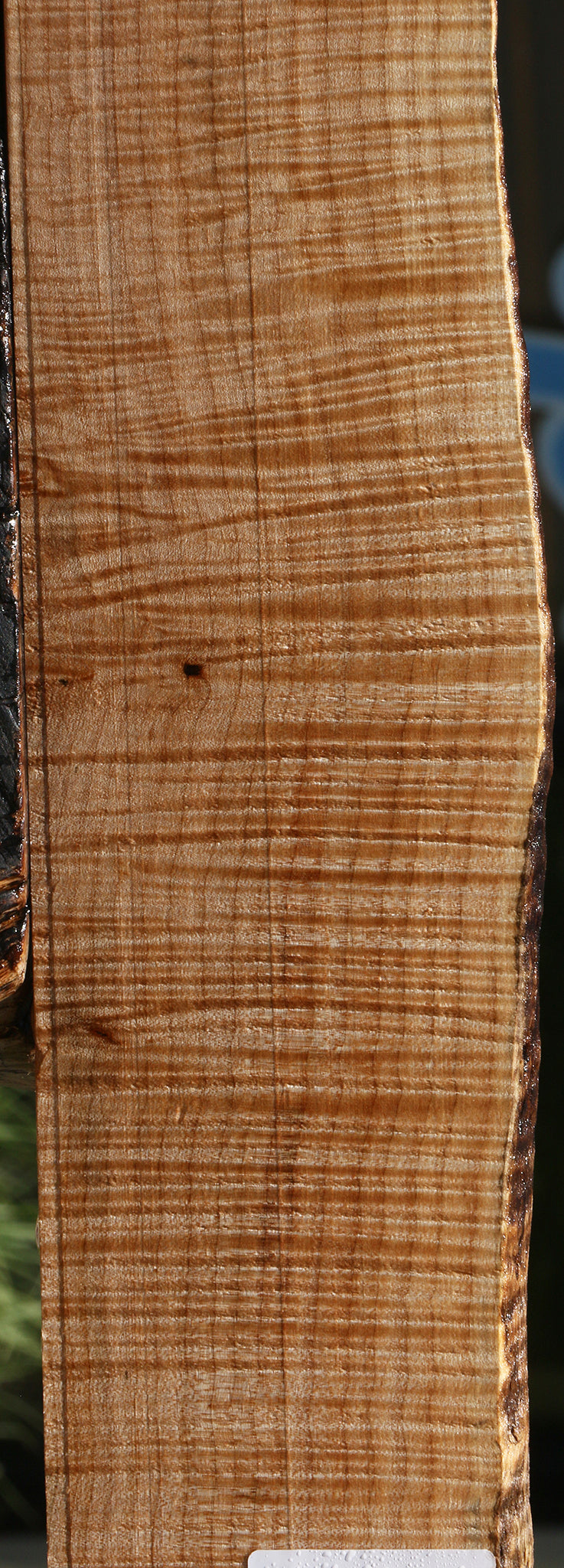 Extra Fancy Maple Live Edge Lumber