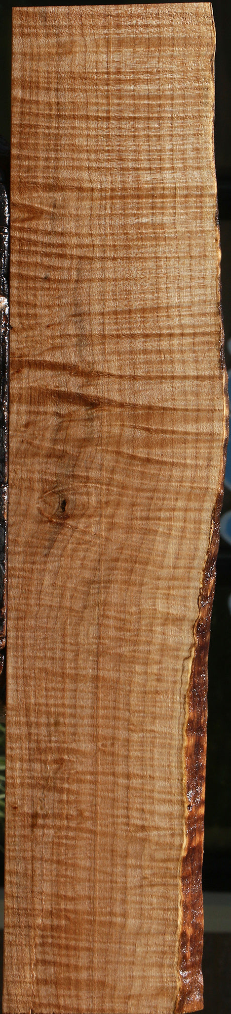 Extra Fancy Maple Live Edge Lumber