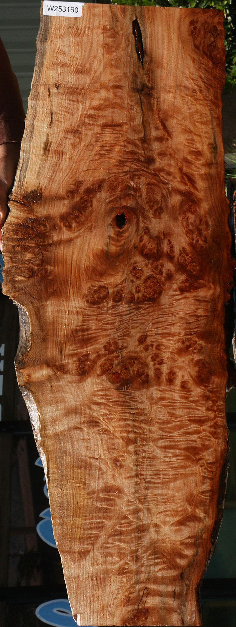 Maple Burl Live Edge Mini Slab