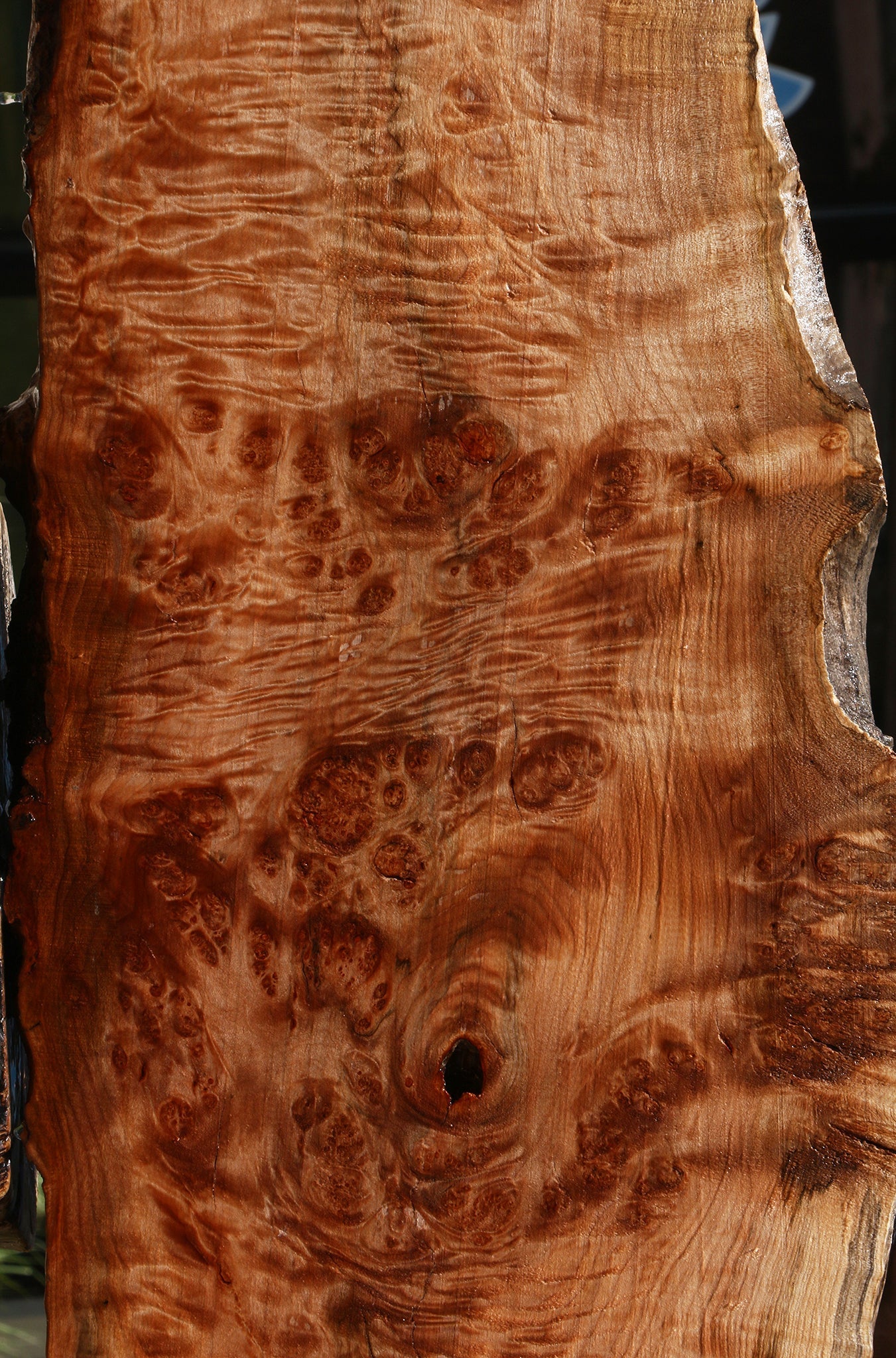 Maple Burl Live Edge Mini Slab