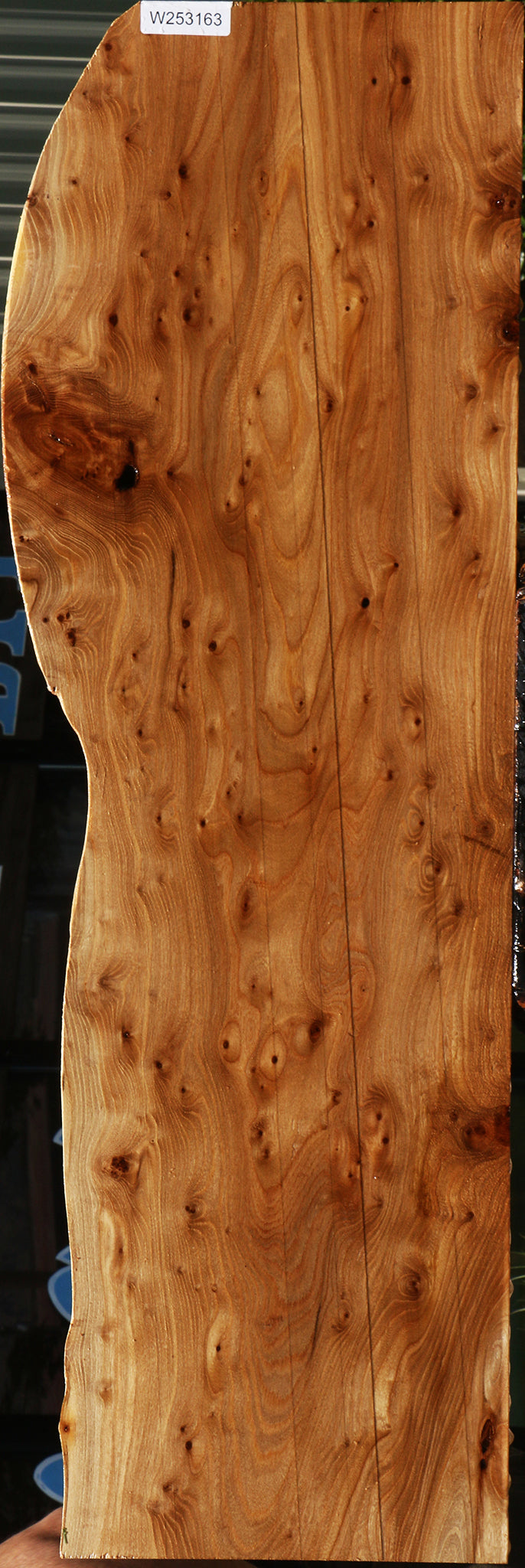 Elm Burl Live Edge Lumber