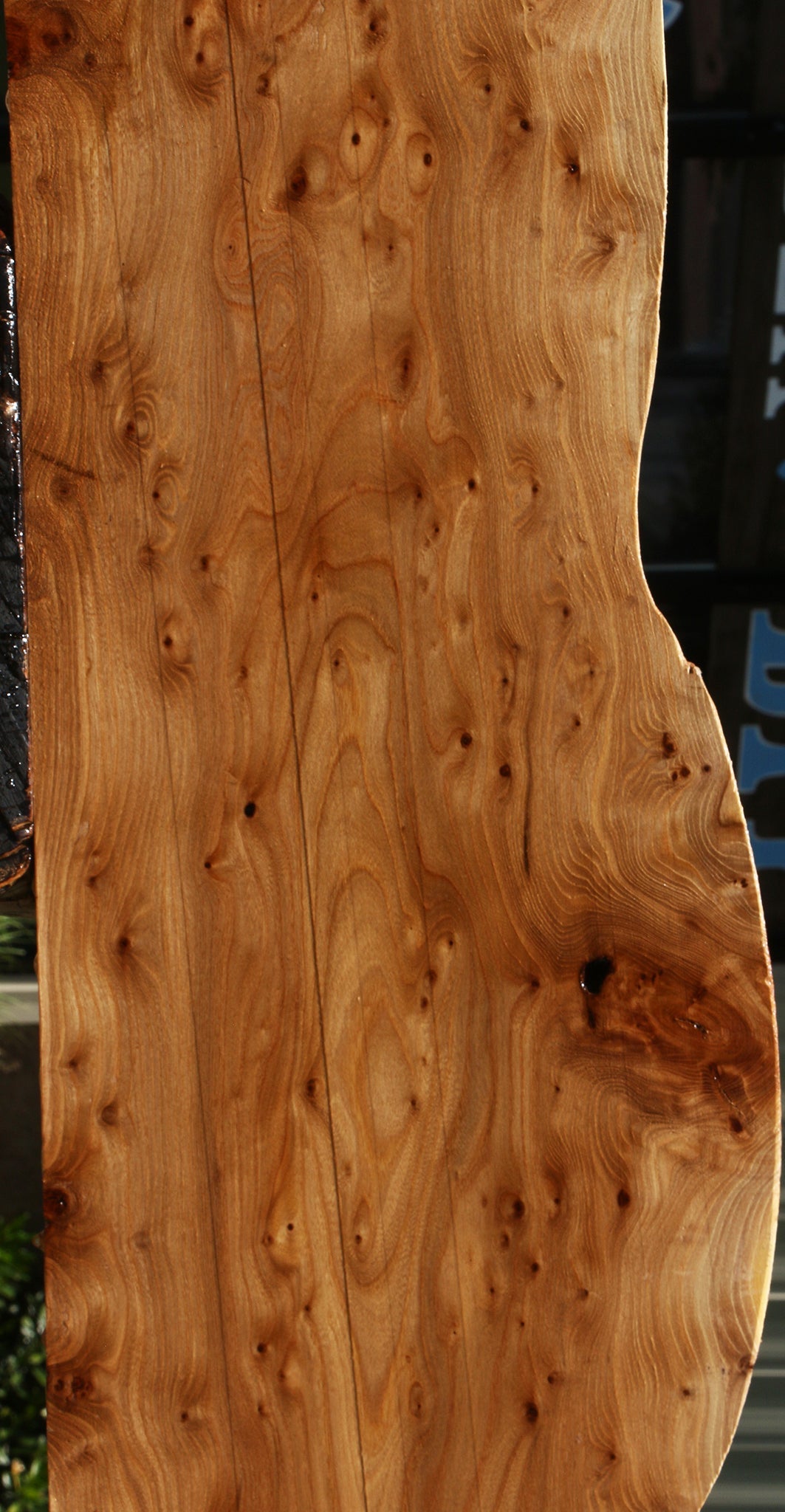 Elm Burl Live Edge Lumber