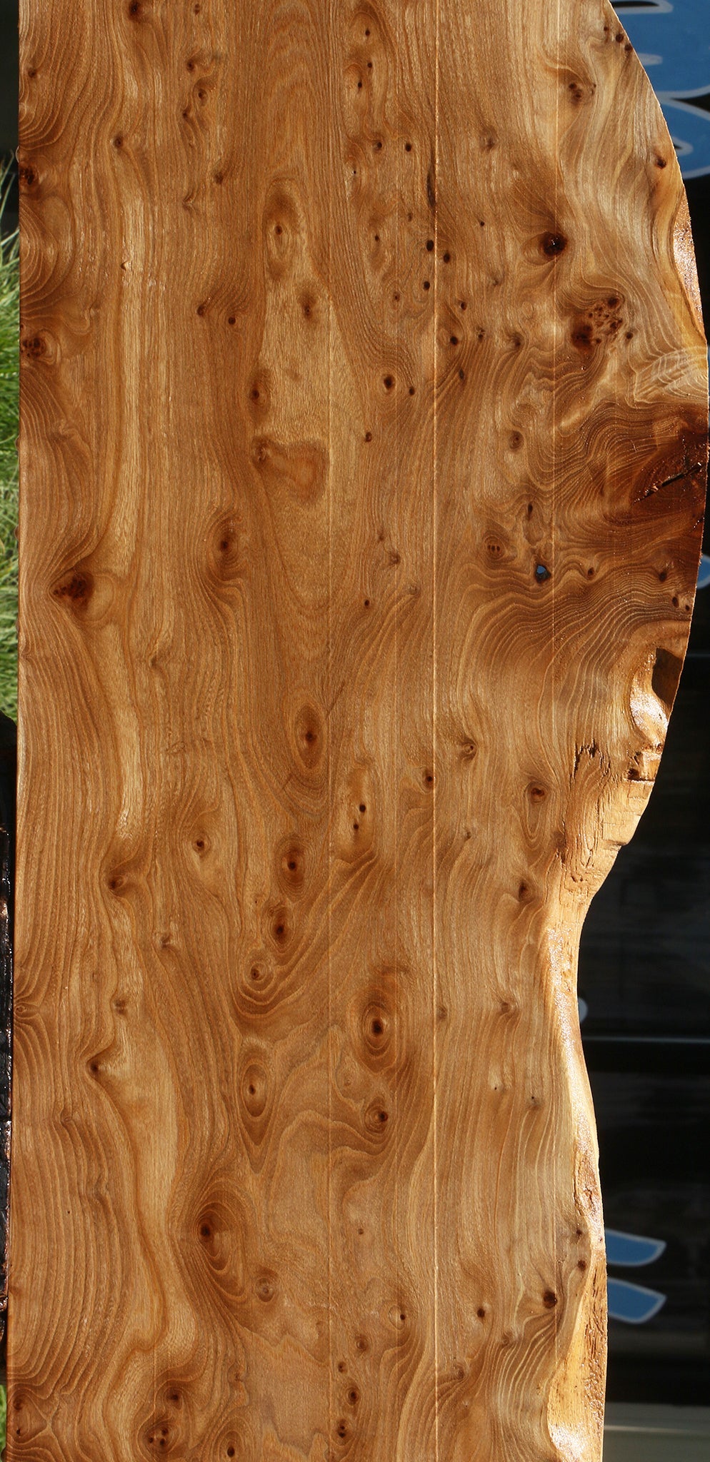 Elm Burl Live Edge Lumber